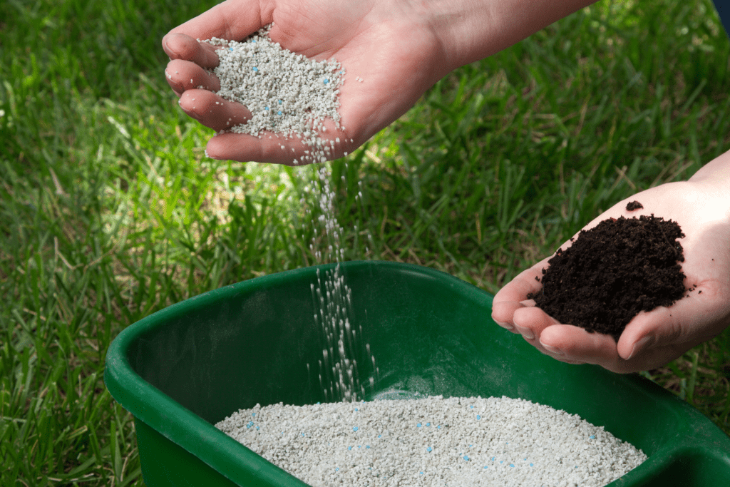 Greener Grass Lawn Care: Professional Overseeding Service in Canton, Ohio