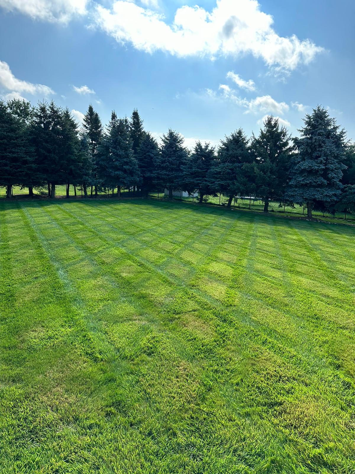 a6ce9ad7-5ead-48a1-9be6-c3cc29df59bd_Original