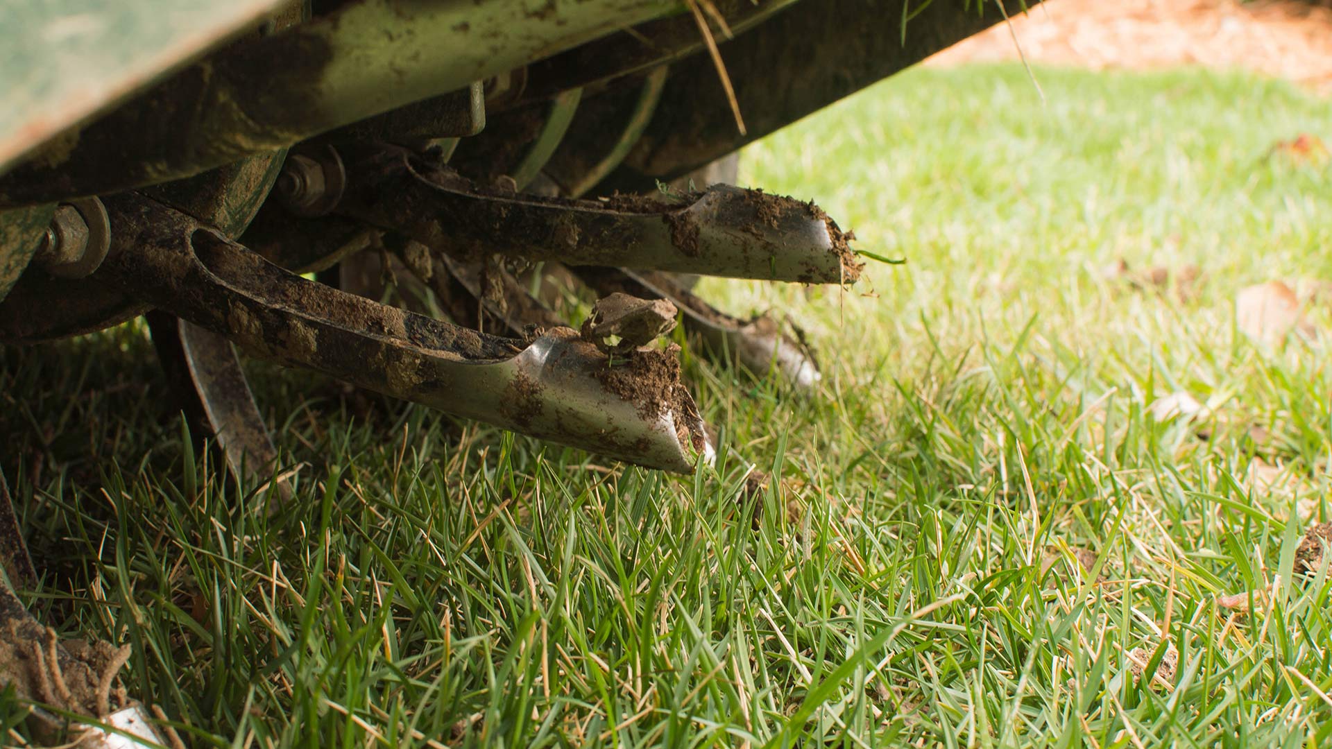 Professional Lawn Aeration Equipment in Canton, Ohio