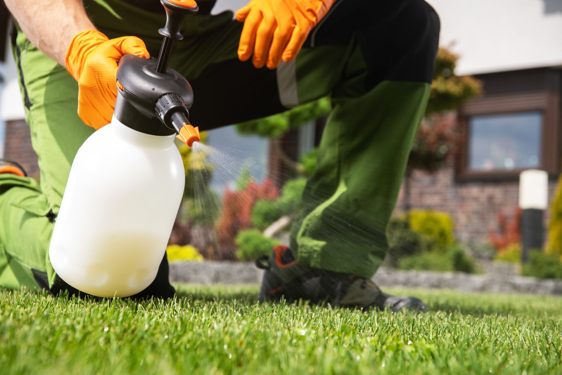 weed control