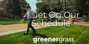 Lawn Tech Working on A Lawn in Stark County Ohio