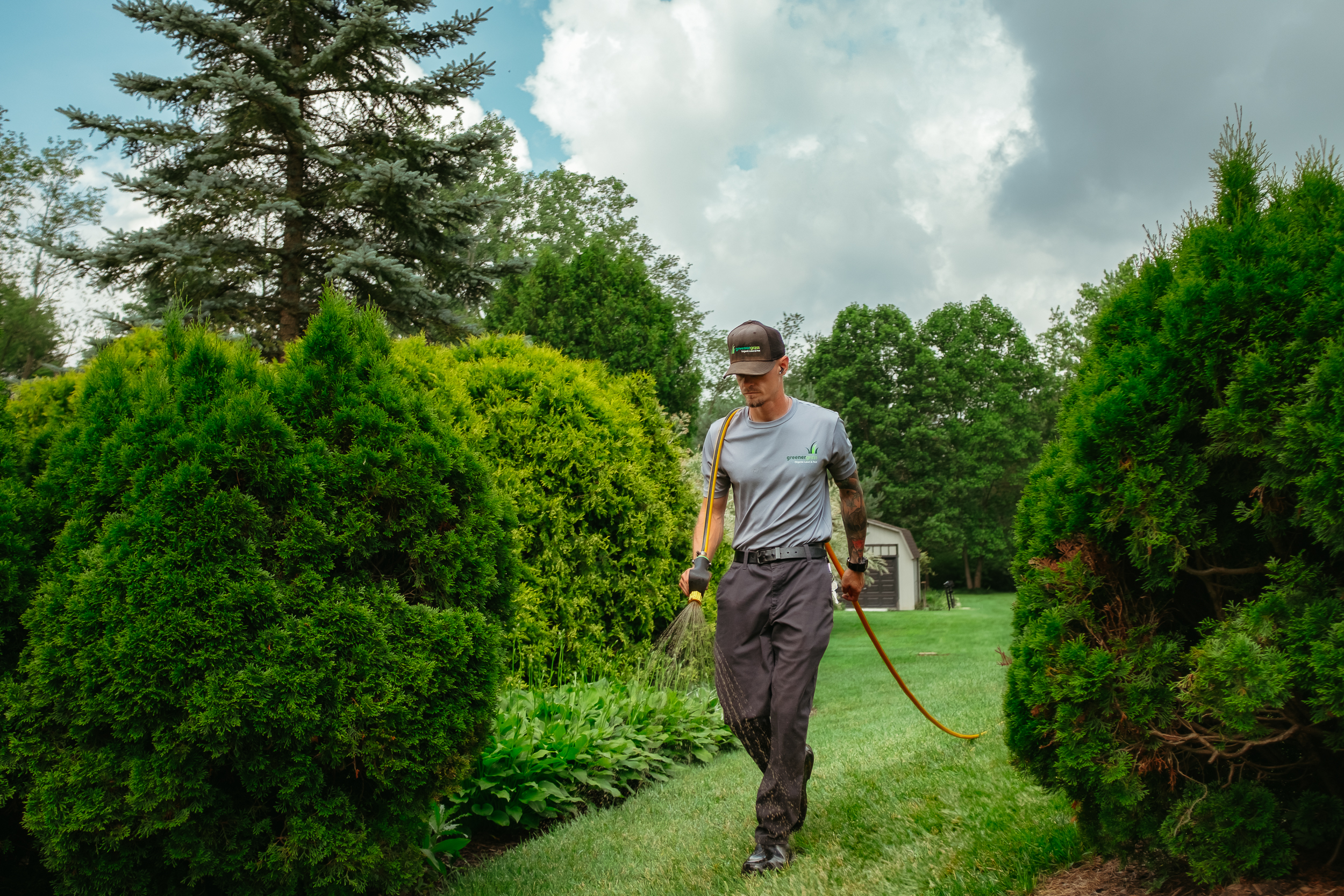 Lawn Tech fertilizing a lawn in canton, oh